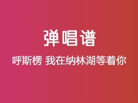 呼斯楞《我在纳林湖等着你》吉他谱C调吉他弹唱谱