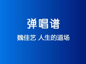 魏佳艺《人生的道场》吉他谱G调吉他弹唱谱