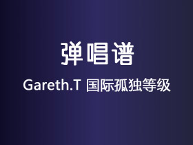 Gareth.T《国际孤独等级》吉他谱D调吉他弹唱谱