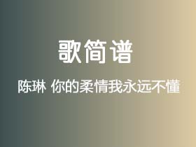 陈琳《你的柔情我永远不懂》简谱E调钢琴指弹独奏谱