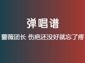 蔷薇团长《伤疤还没好就忘了疼》吉他谱C调吉他弹唱谱