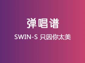 SWIN-S《只因你太美》吉他谱G调吉他弹唱谱