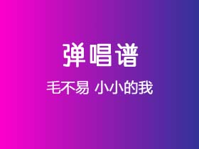 毛不易《小小的我》吉他谱C调吉他弹唱谱