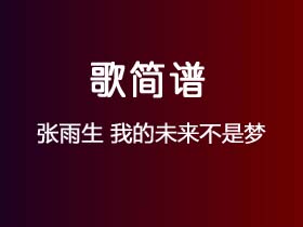 张雨生《我的未来不是梦》简谱D调钢琴指弹独奏谱