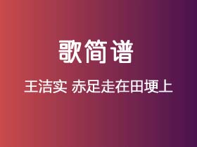 王洁实《赤足走在田埂上》简谱D调钢琴指弹独奏谱