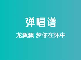 龙飘飘《梦你在怀中》吉他谱C调吉他弹唱谱