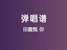 田馥甄《你》吉他谱D调吉他弹唱谱