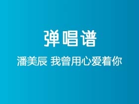 潘美辰《我曾用心爱着你》吉他谱C调吉他弹唱谱