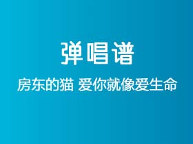 房东的猫《爱你就像爱生命》吉他谱C调吉他弹唱谱