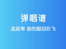 孟庭苇《谁的眼泪在飞》吉他谱选调调吉他弹唱谱