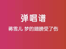 蒋雪儿《梦的翅膀受了伤》吉他谱G调吉他弹唱谱