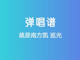 就是南方凯《巡光》吉他谱C调吉他弹唱谱