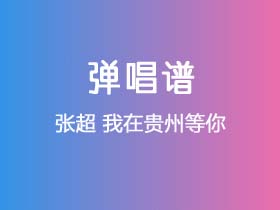 张超《我在贵州等你》吉他谱G调吉他弹唱谱