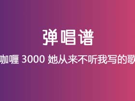 咖喱3000《她从来不听我写的歌》吉他谱G调吉他弹唱谱