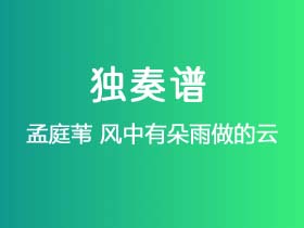 孟庭苇《风中有朵雨做的云》吉他谱G调吉他指弹独奏谱