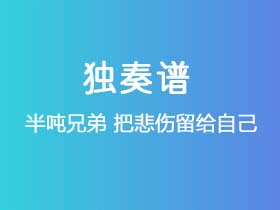 半吨兄弟《把悲伤留给自己》吉他谱G调吉他指弹独奏谱