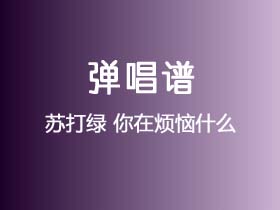 苏打绿《你在烦恼什么》吉他谱C调吉他弹唱谱