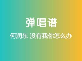 何润东《没有我你怎么办》吉他谱G调吉他弹唱谱