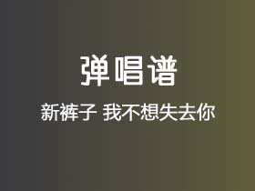 新裤子《我不想失去你》吉他谱G调吉他弹唱谱