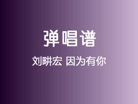 刘畊宏《因为有你》吉他谱G调吉他弹唱谱