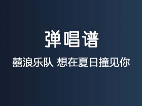 囍浪乐队《想在夏日撞见你》吉他谱C调吉他弹唱谱