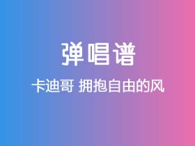 卡迪哥《拥抱自由的风》吉他谱G调吉他弹唱谱