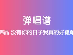 韩晶《没有你的日子我真的好孤单》吉他谱C调吉他弹唱谱