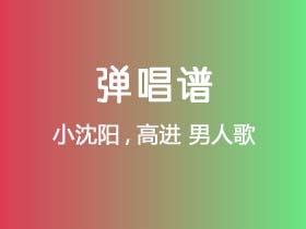 小沈阳,高进《男人歌》吉他谱C调吉他弹唱谱