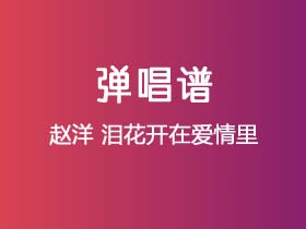 赵洋《泪花开在爱情里》吉他谱G调吉他弹唱谱