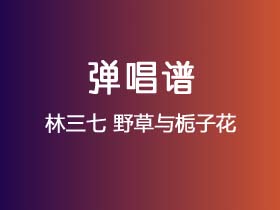 林三七《野草与栀子花》吉他谱G调吉他弹唱谱