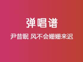 尹昔眠《风不会姗姗来迟》吉他谱C调吉他弹唱谱