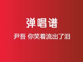 尹吾《你笑着流出了泪》吉他谱G调吉他弹唱谱