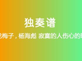 龙梅子/杨海彪《寂寞的人伤心的歌》吉他谱G调吉他指弹独奏谱