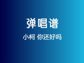 小柯《你还好吗》吉他谱G调吉他弹唱谱