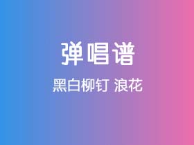 黑白柳钉《浪花》吉他谱C调吉他弹唱谱