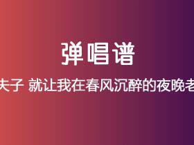 野夫子《就让我在春风沉醉的夜晚老去》吉他谱G调吉他弹唱谱