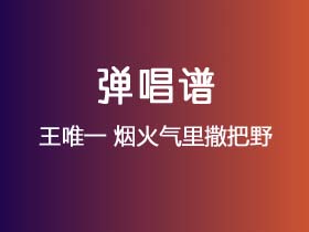 王唯一《烟火气里撒把野》吉他谱G调吉他弹唱谱