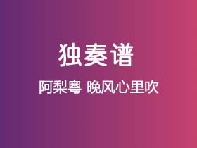 阿梨粤《晚风心里吹》吉他谱G调吉他指弹独奏谱