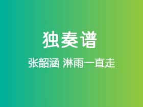 张韶涵《淋雨一直走》吉他谱C调吉他指弹独奏谱