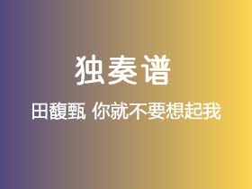 田馥甄《你就不要想起我》吉他谱G调吉他指弹独奏谱