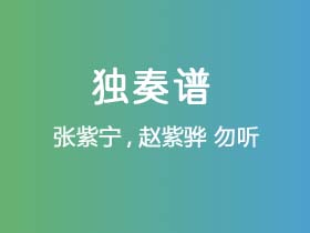 张紫宁,赵紫骅《勿听》吉他谱G调吉他指弹独奏谱