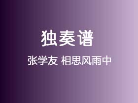 张学友《相思风雨中》吉他谱C调吉他指弹独奏谱