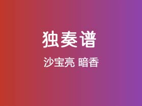 沙宝亮《暗香》吉他谱C调吉他指弹独奏谱