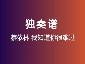 蔡依林《我知道你很难过》吉他谱C调吉他指弹独奏谱