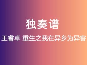 王睿卓《重生之我在异乡为异客》吉他谱G调吉他指弹独奏谱