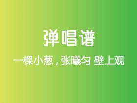 一棵小葱,张曦匀《壁上观》吉他谱C调吉他弹唱谱