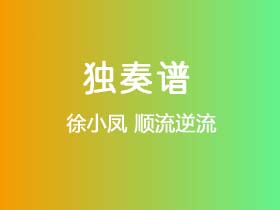 徐小凤《顺流逆流》吉他谱G调吉他指弹独奏谱