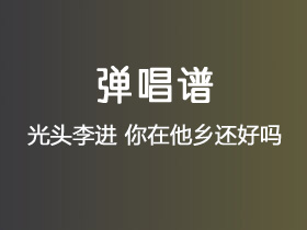 光头李进《你在他乡还好吗》吉他谱C调吉他弹唱谱