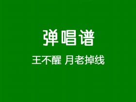 王不醒《月老掉线》吉他谱G调吉他弹唱谱