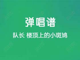 队长《楼顶上的小斑鸠》吉他谱C调吉他弹唱谱